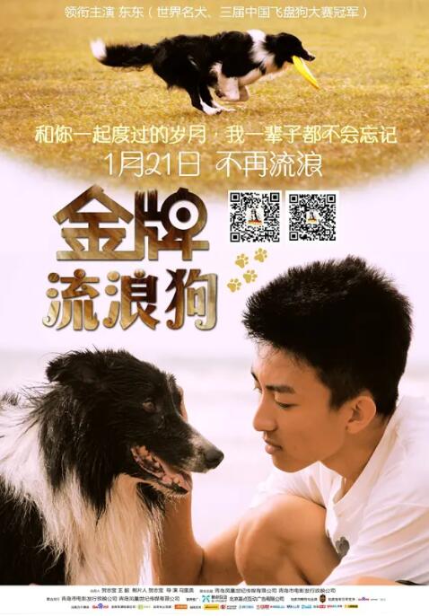 金牌流浪狗(全集)