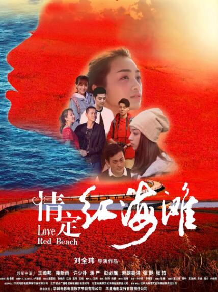 情定红海滩(全集)
