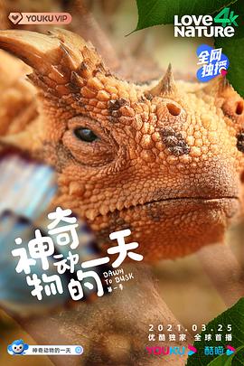 神奇动物的一天 第一季(全集)