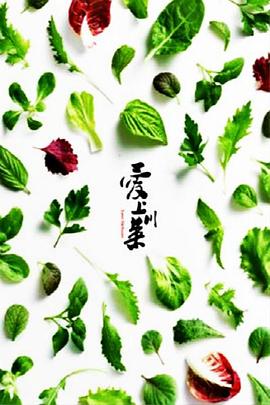 爱上川菜(全集)