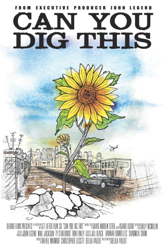 你能理解吗(全集)