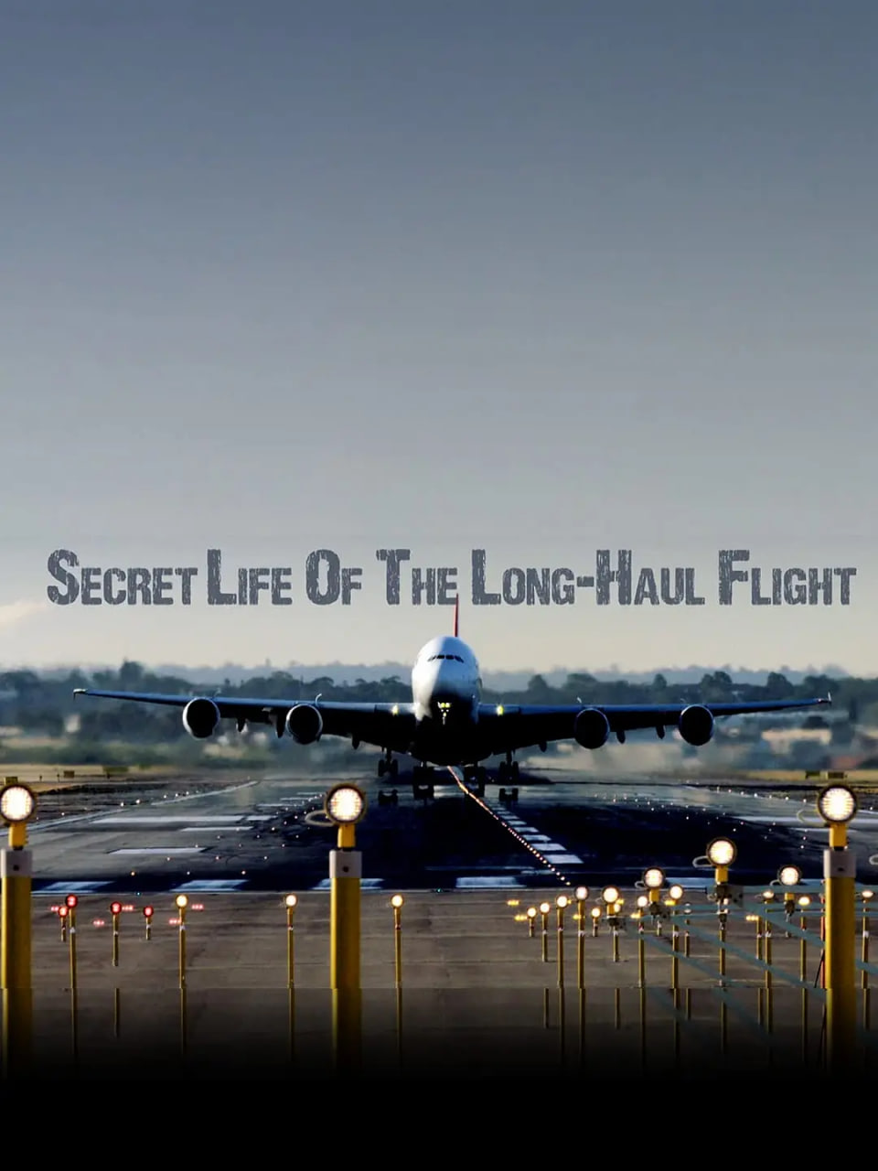 长途航班的秘密生活(全集)