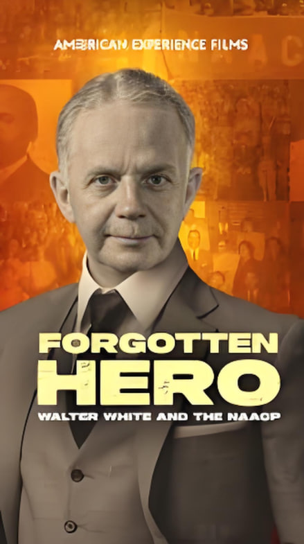 美国历史(全集)