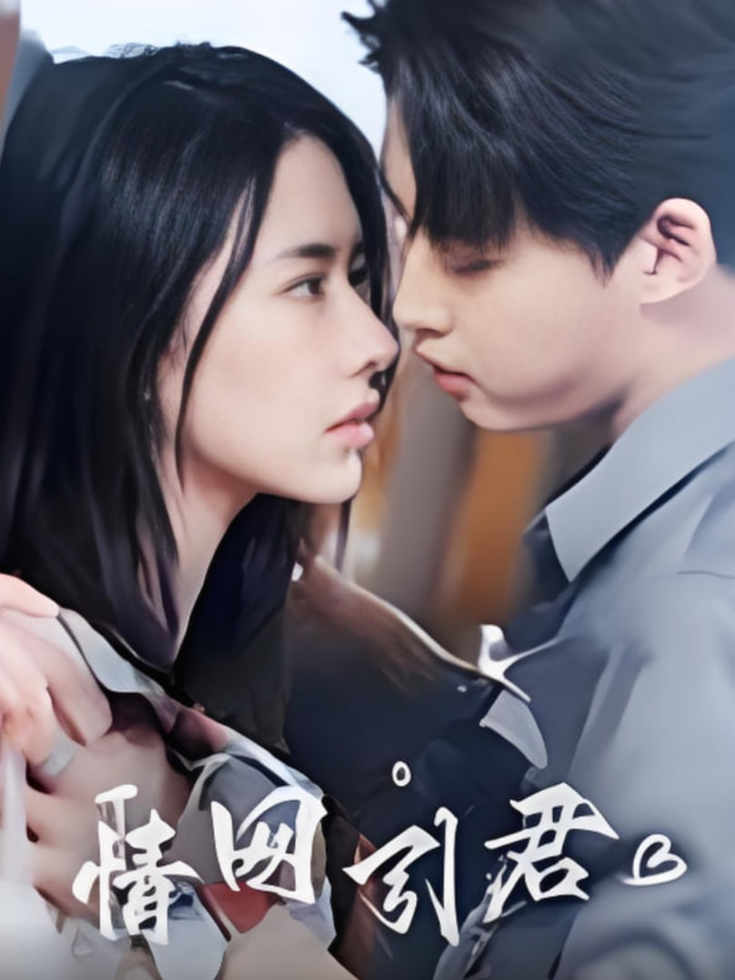 情网引君(全集)