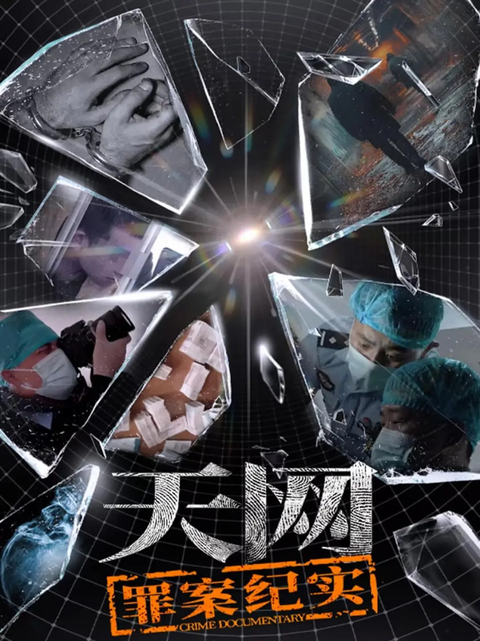 天网：罪案纪实(全集)