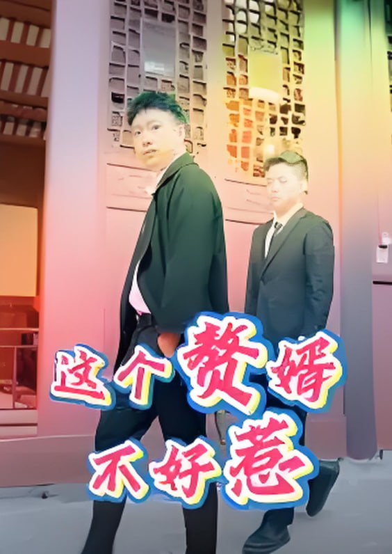 这个赘婿不好惹(全集)